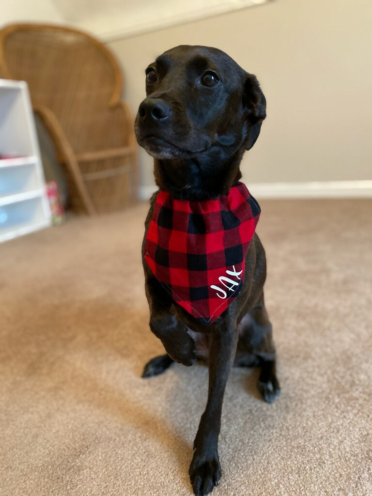 Holiday X-Small Personalized Doggie Scarf