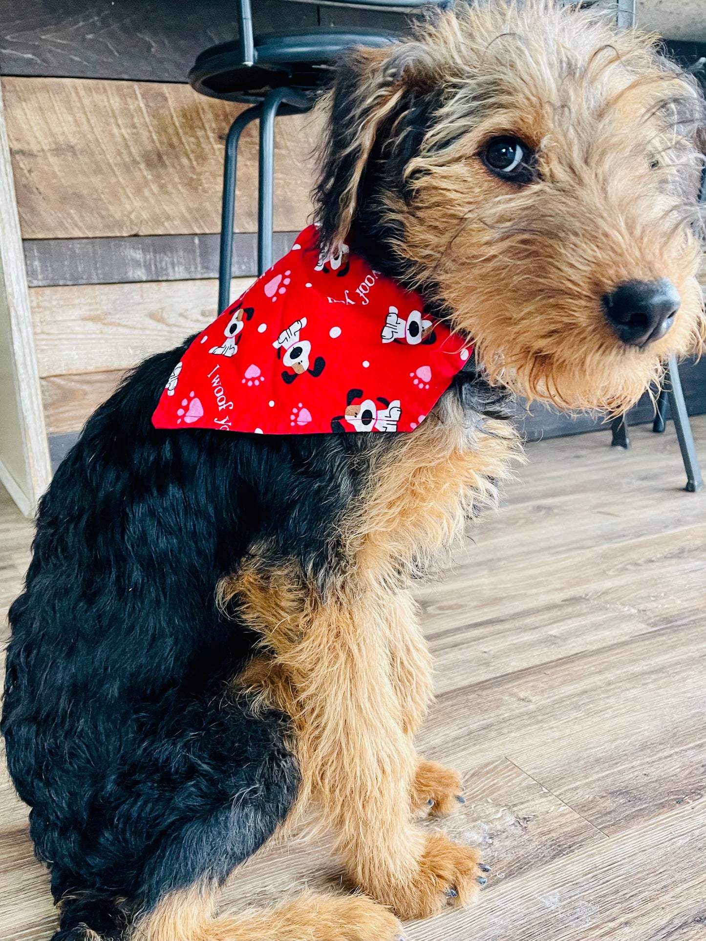 Holiday X-Small Personalized Doggie Scarf